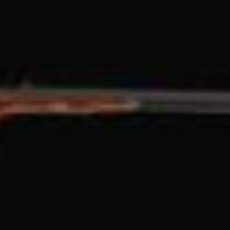 John Brown's Sharps Rifle