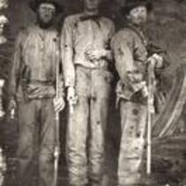 Missouri Confederates Thomas H. Brown, William A. Brown, and Abe Brown